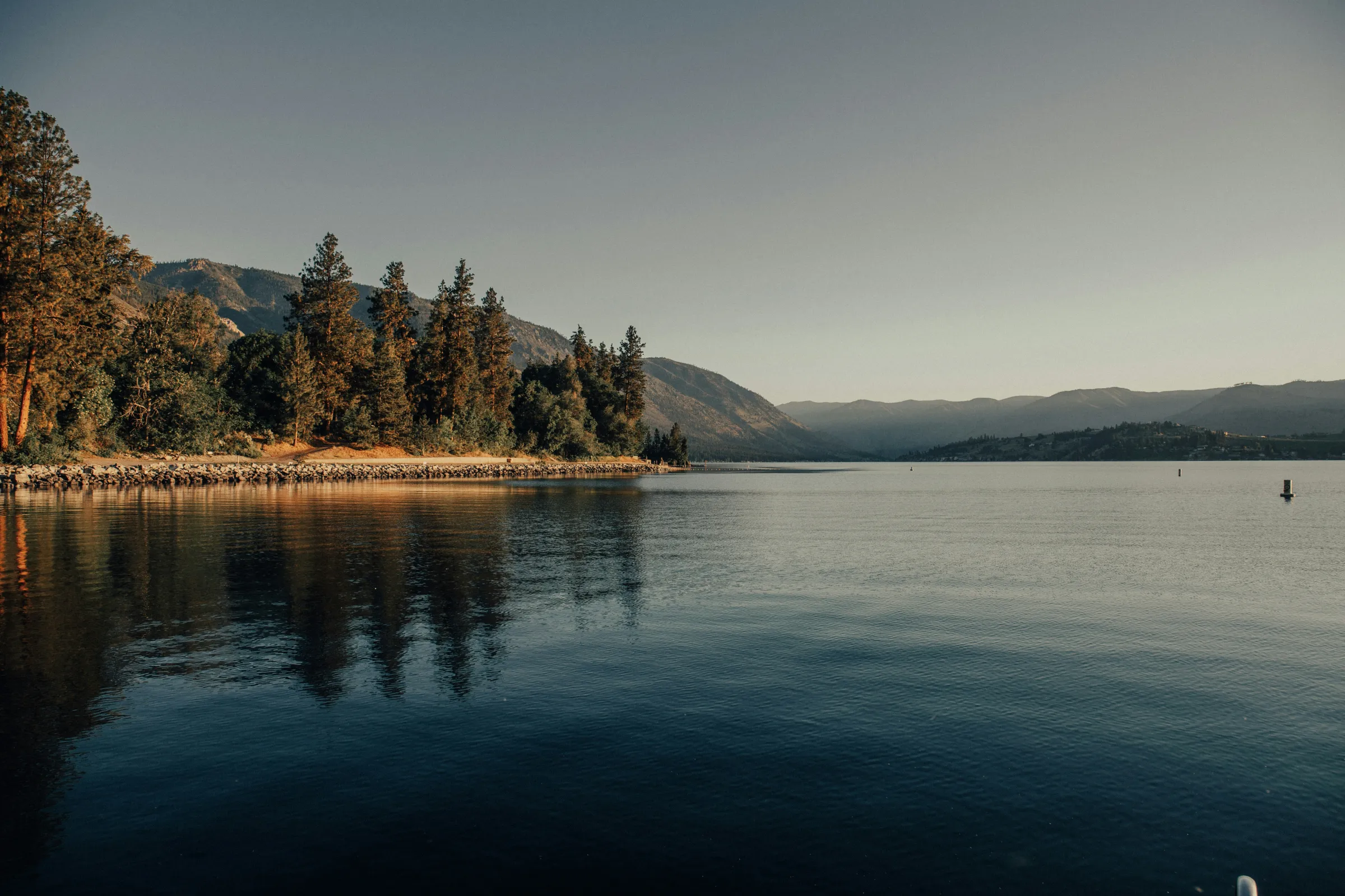 Ein ruhiger See mit bewaldetem Ufer